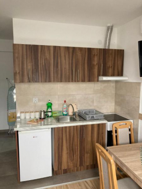 Apartman Veličković Sokobanja